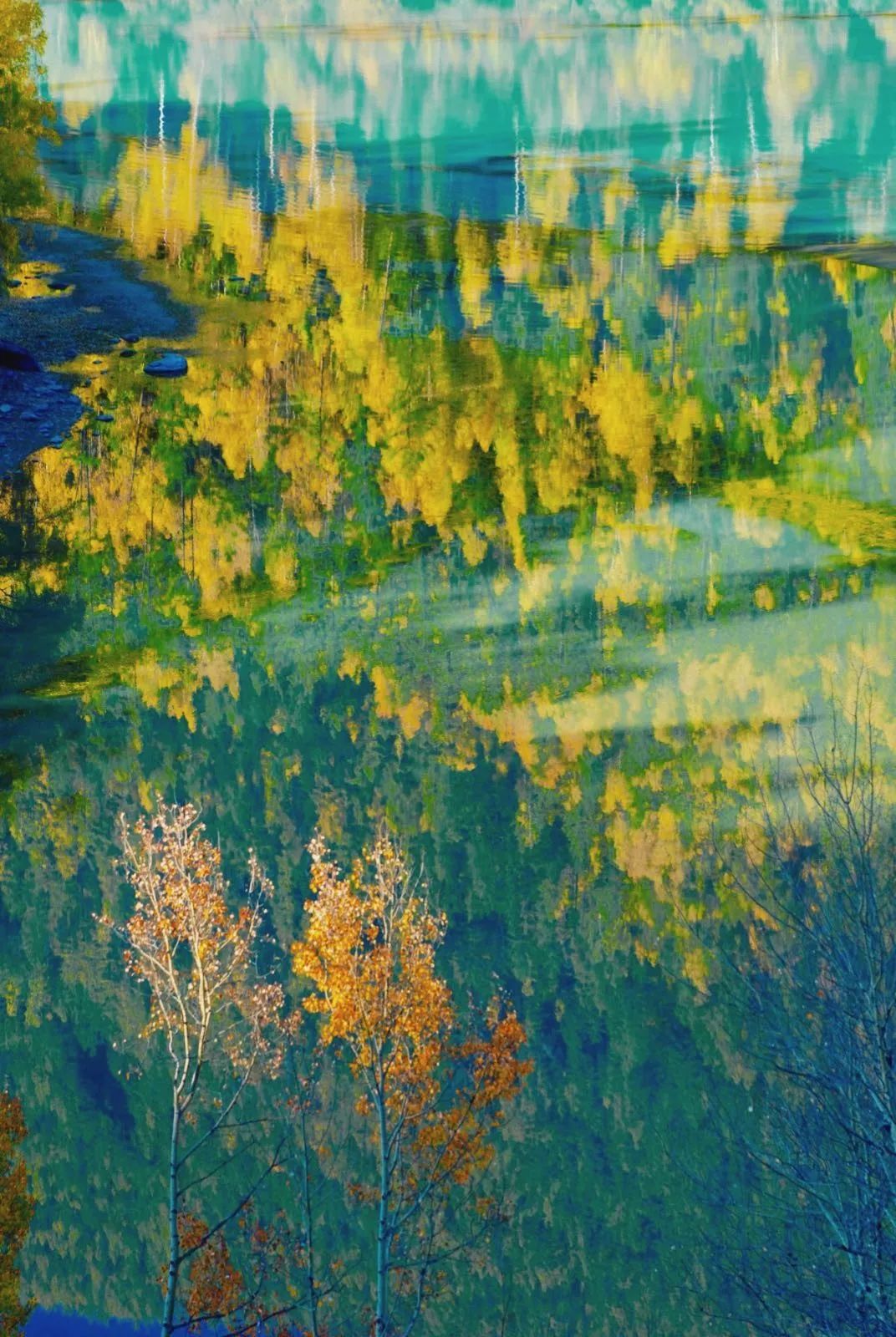 冬天的新疆喀纳斯,冬天是去伊犁还是喀纳斯