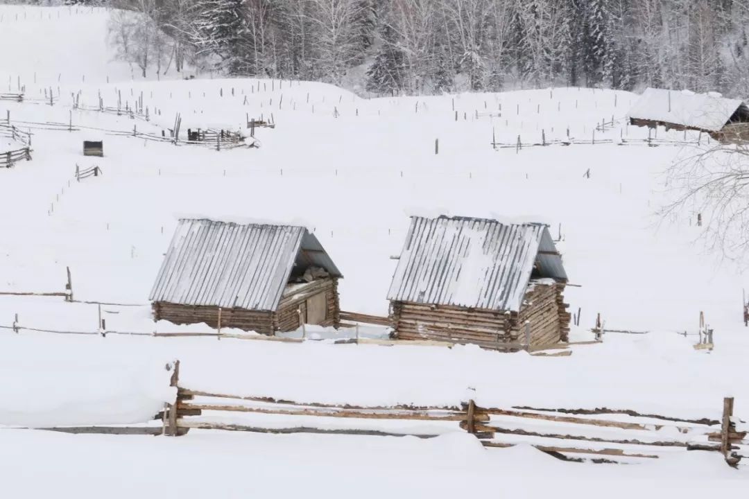 冬天的新疆喀纳斯,冬天是去伊犁还是喀纳斯
