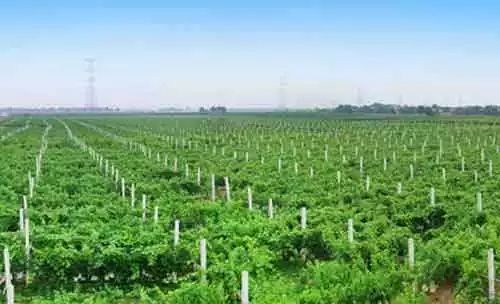 河北张家口市涿鹿县地图,河北县情概览张家口市蔚县