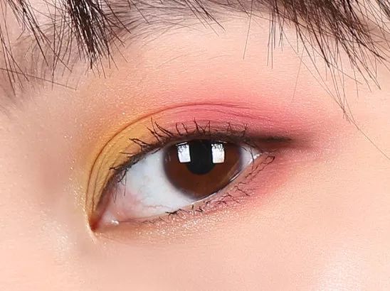 别再把头寄给我了，保姆级教程只发一次