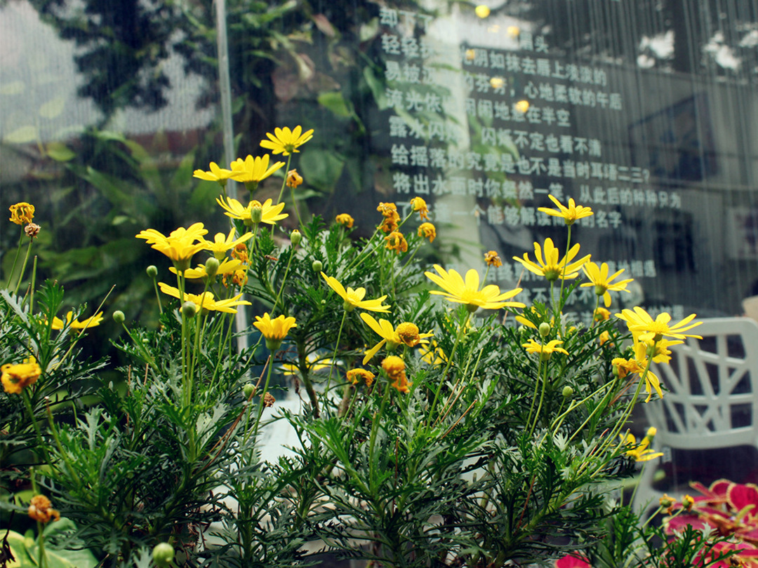 环岛路到溪头下,思明区环岛南路溪头下9号