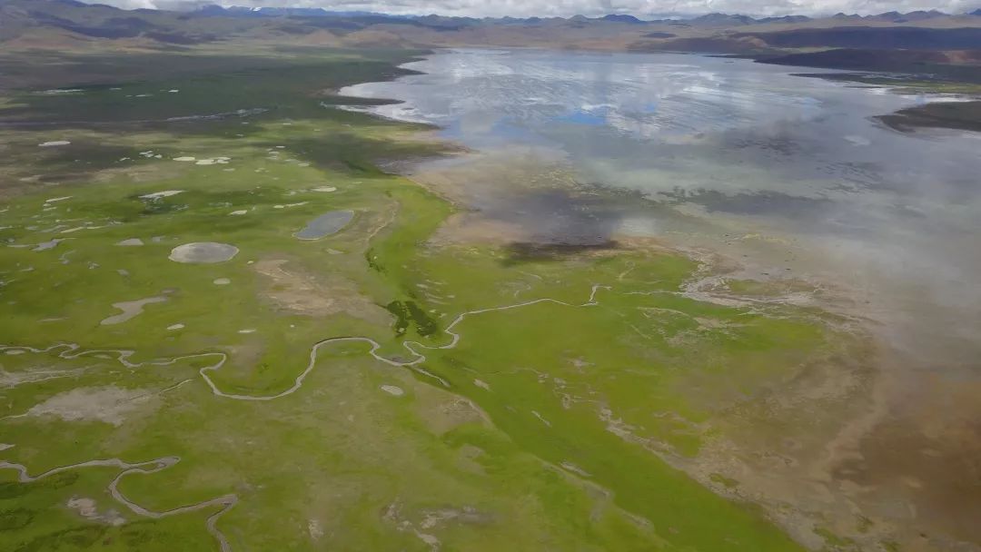 糟了，明天要上班了！我脑子里全是山南的措