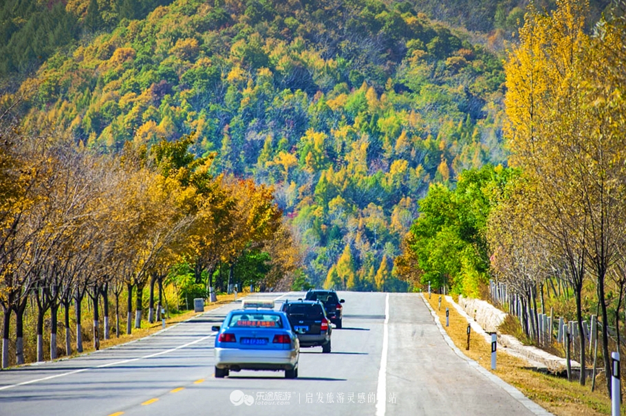中华枫叶大道沿途风景区,中华枫叶大道红了吗