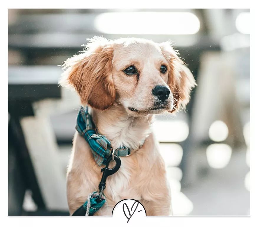 治愈不开心的心灵鸡汤,治愈人心的五句话看完心就不累了