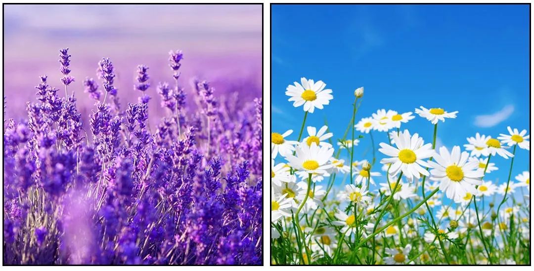 淘宝买的沙雕东西,吐槽我买的沙雕物品