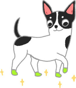 带孩子踏浪看海,带娃踏浪看海