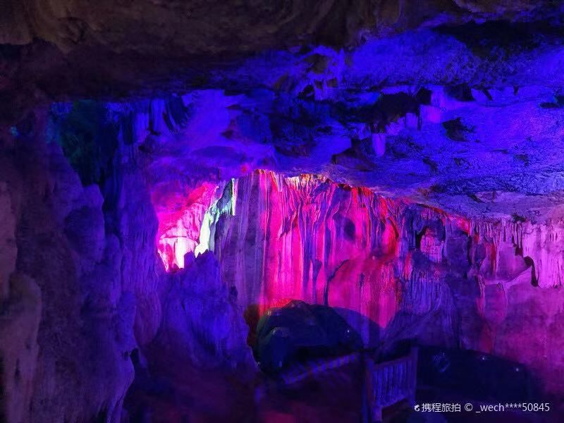 美得不用滤镜!带你邂逅“一个春天的城市”,一辈子一定要去一次