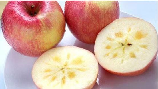 美得不用滤镜!带你邂逅“一个春天的城市”,一辈子一定要去一次