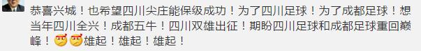 成都南门未来最大的足球场,成都最标准的足球场在哪里