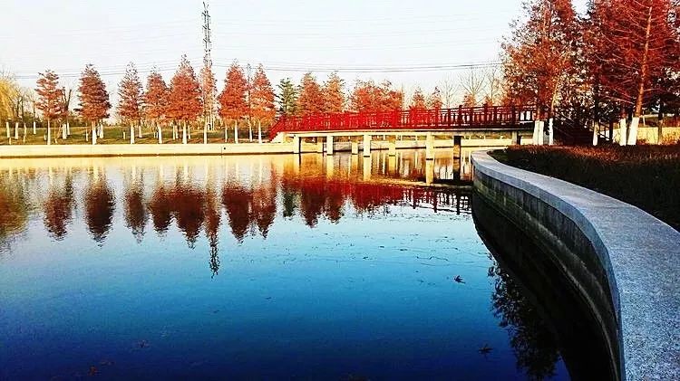 蓬莱夏天的海边,带你领略蓬莱好风景