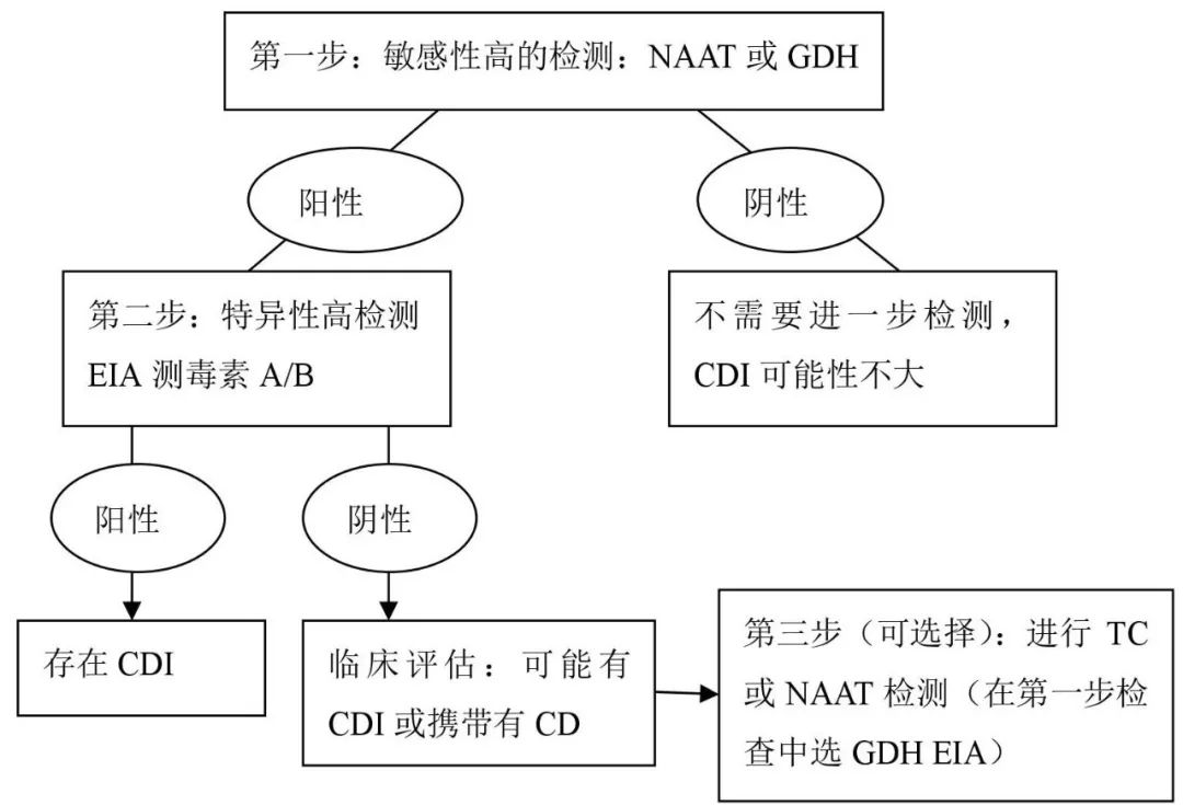 抗生素相关性腹泻,肠道菌群失调和肠炎的区别