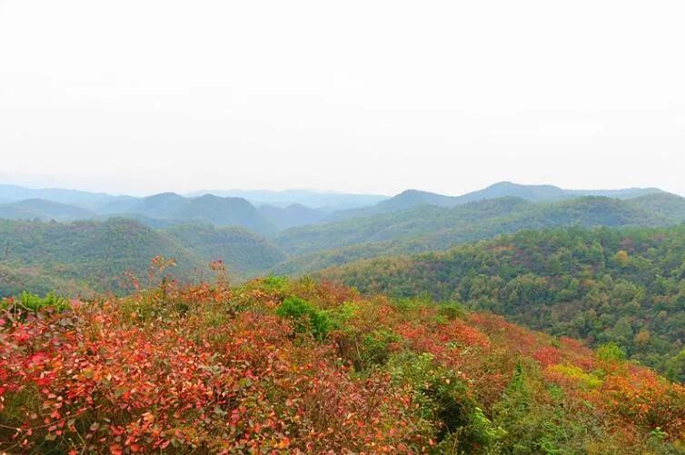 宜昌看红叶最佳地点,宜昌红叶最佳地点