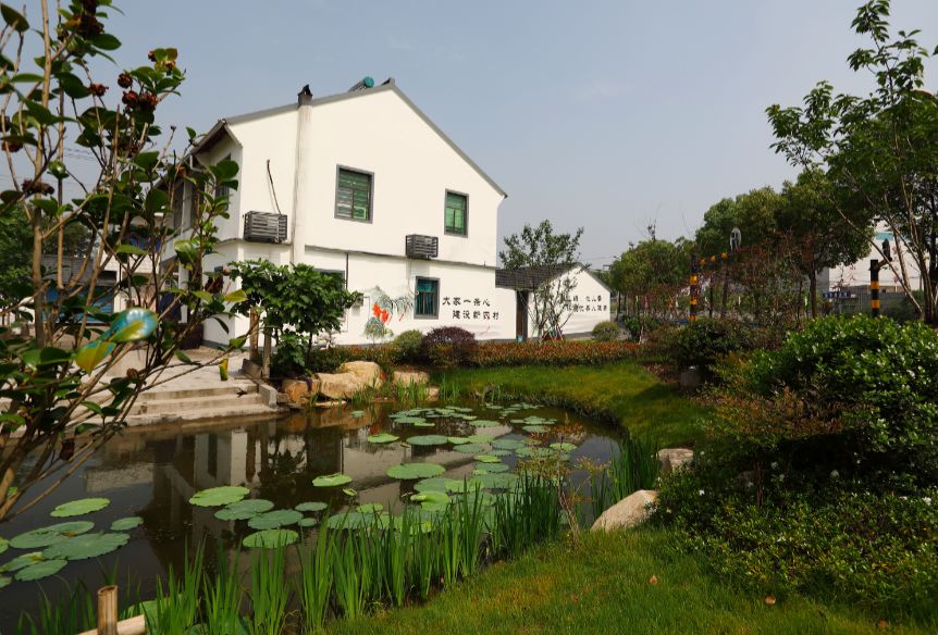 96.13分，全区首个！这个村的萧山人，太幸福