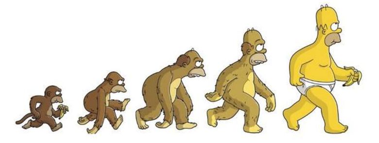 人类进化背后的万年相亲博弈