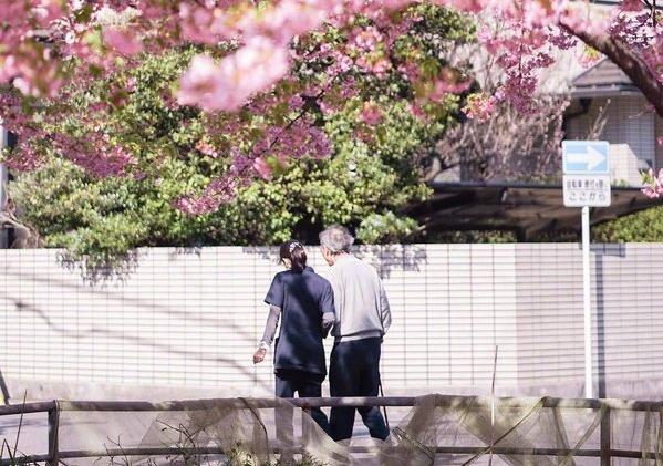 韩语文学广场:沈默的羔羊②—小说