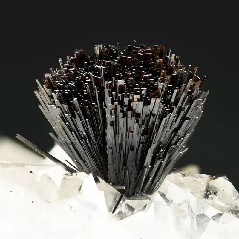 谁还不是个小可爱呢下一句,谁还不是小可爱