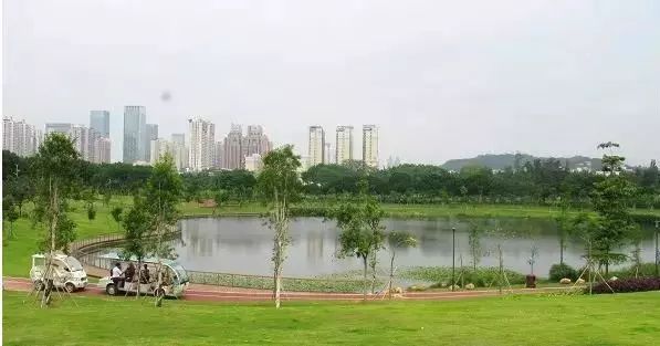 福田新花卉世界搬哪里,深圳福田花卉世界新址