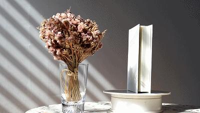 这本书致为爱心碎的人，也致为爱勇敢的人