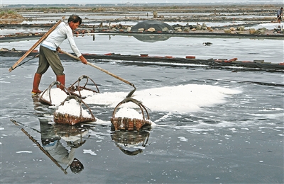 慈溪“三白”与绍兴“三乌”