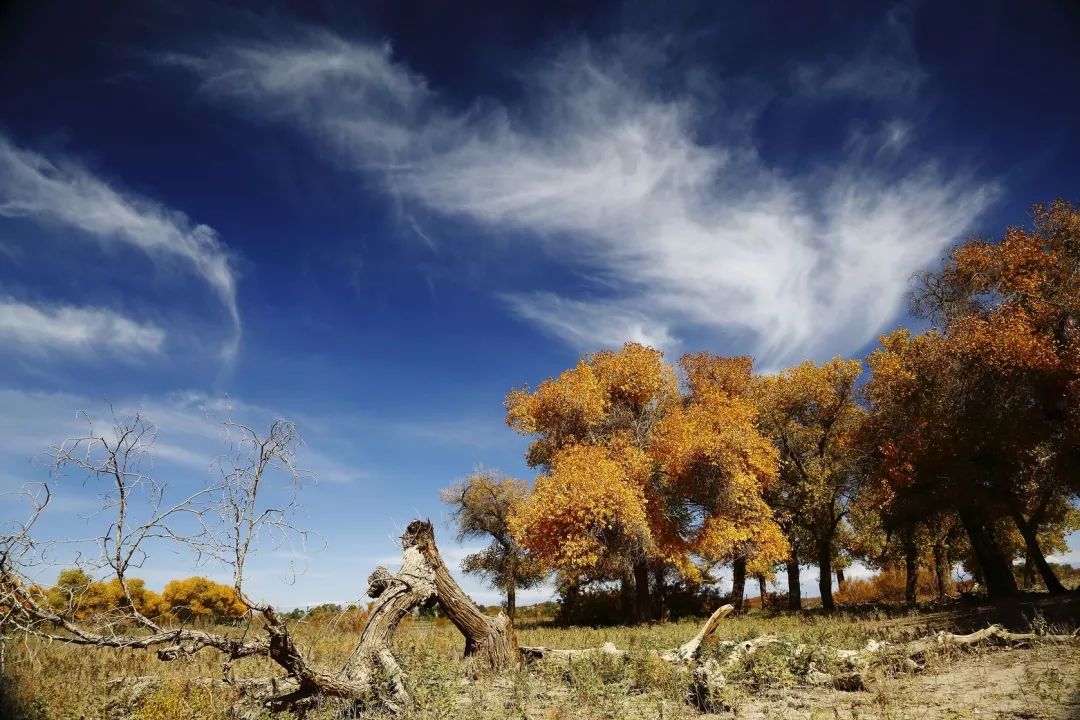 寻找国内十大最美秋色,10月最美秋色
