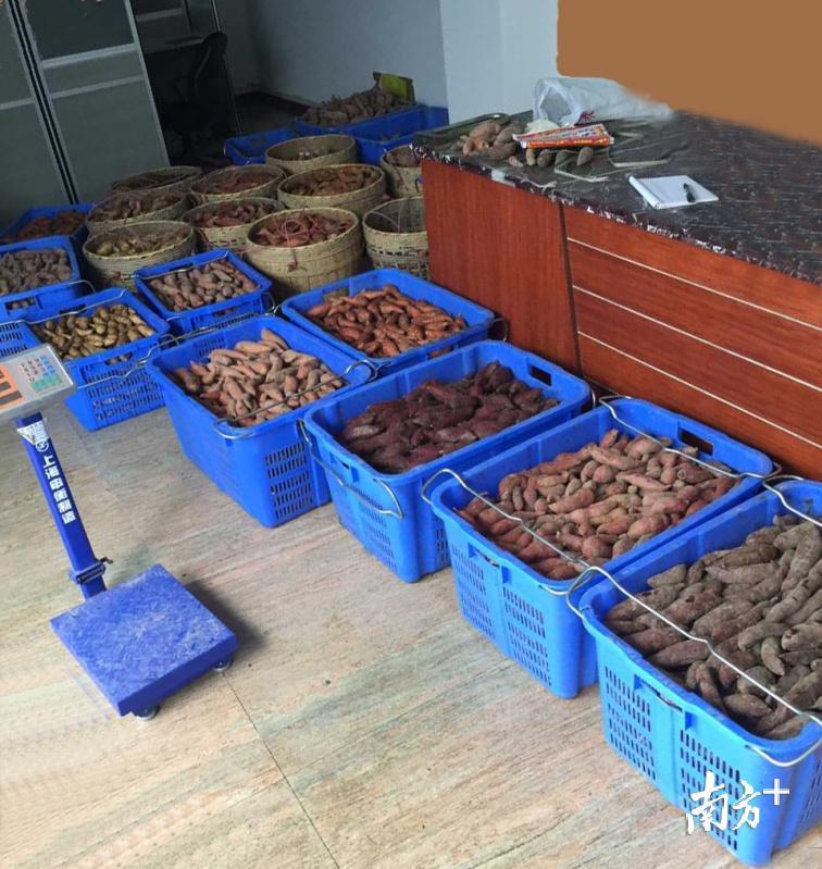 乡村振兴一户一块田,如何做到丘陵乡村振兴