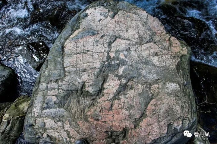 这个周末我约了丹凤的秋天,邀你共赏!去的约起来....