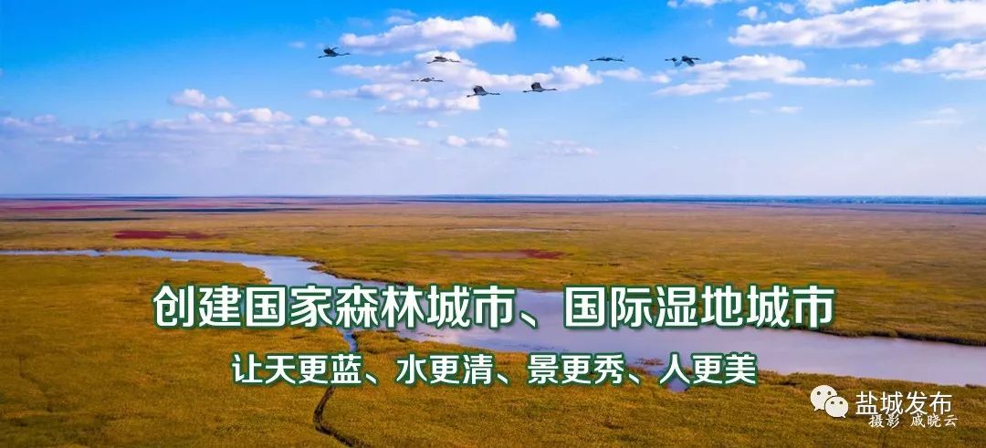 盐城电子医保卡怎么申请办理,盐城医疗保障卡线上办理