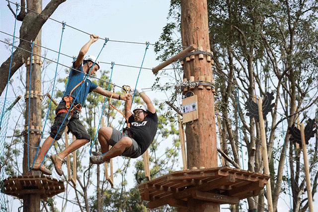 盒子世界现在是怎么了,盒子世界为什么更新了