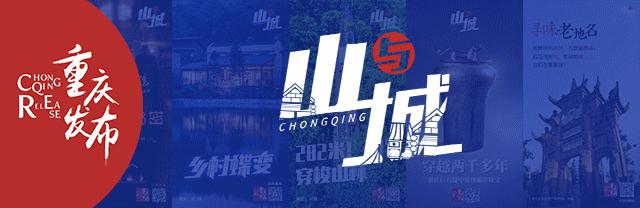 重庆进博会订单在哪里看到,进博会重庆成交