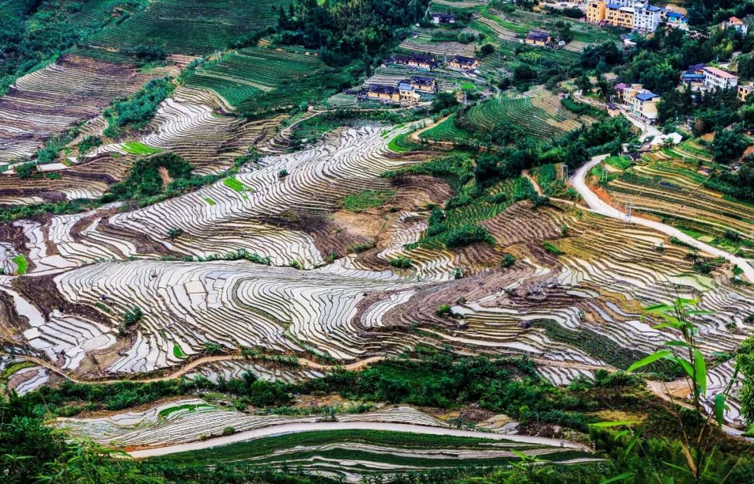 福建漳州为什么今年这么冷,福建漳州为什么老是半夜零点左右放鞭炮