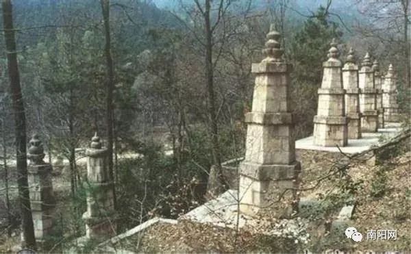 南阳一地入选全国试点,中国骄傲最新消息