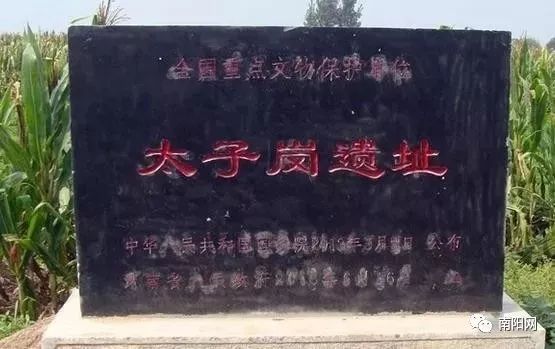 南阳一地入选全国试点,中国骄傲最新消息