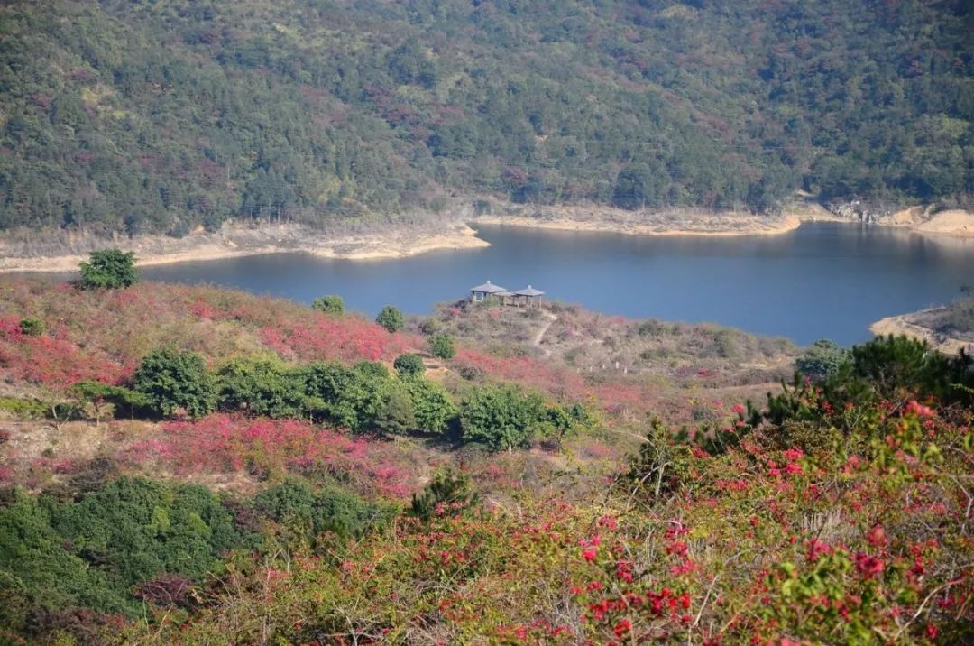 厦门地铁最新消息今天,厦门地铁3号线最新进展来啦