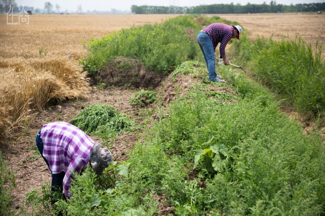 揭秘产品畅销全球的中国“情趣内衣小镇”