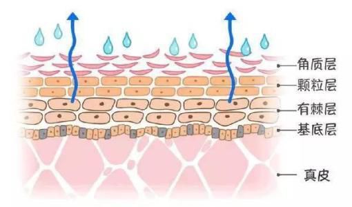 每天都护肤但是还是起皮怎么回事,补水了化妆还是搓泥