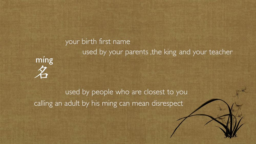 陈情令国外热度,陈情令火到国外的反应