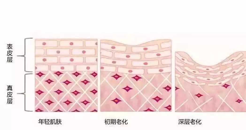 对抗岁月魔皱，护肤品能做的比你想象中更多...