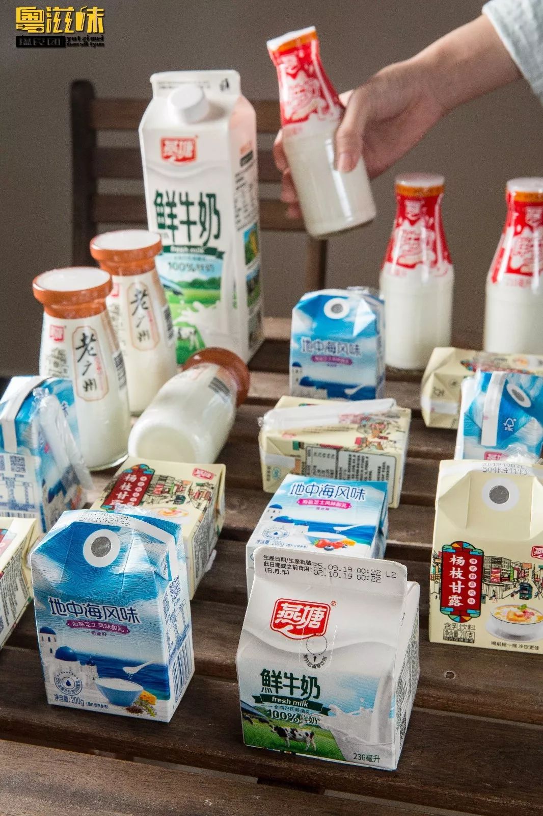 抢占“鲜”机!这个广东人爱了63年的燕塘牛奶,终于要登陆澳门了