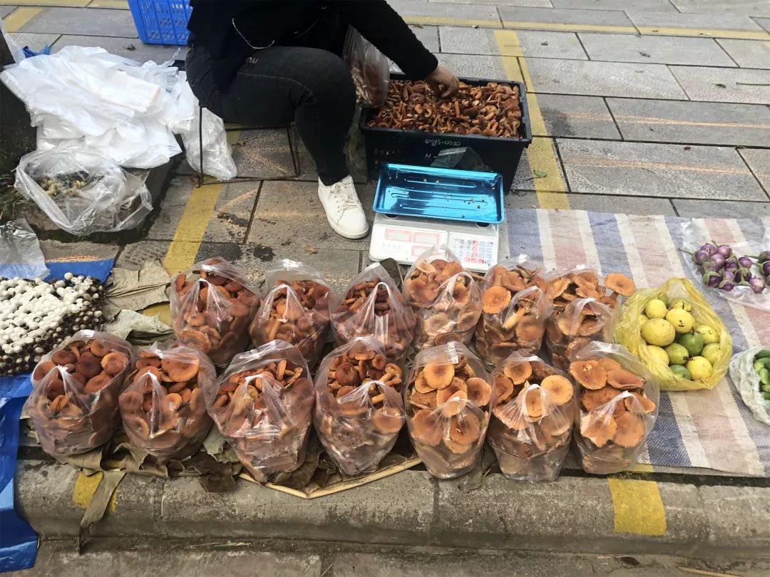 西双版纳傣族赶街视频,勐腊县勐仑镇赶街