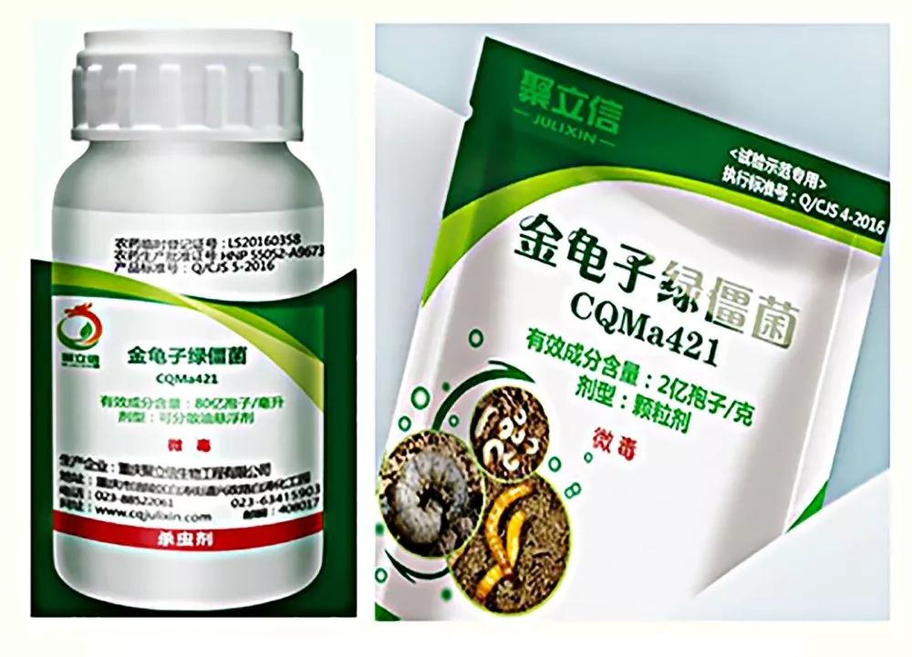 重庆乡村振兴大赛,重庆乡村振兴创业大赛