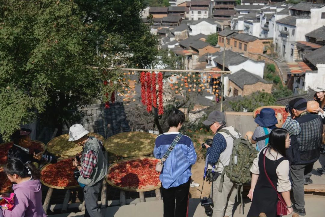 婺源篁岭晒秋什么最好看,婺源秋色正浓石城枫叶渐显红