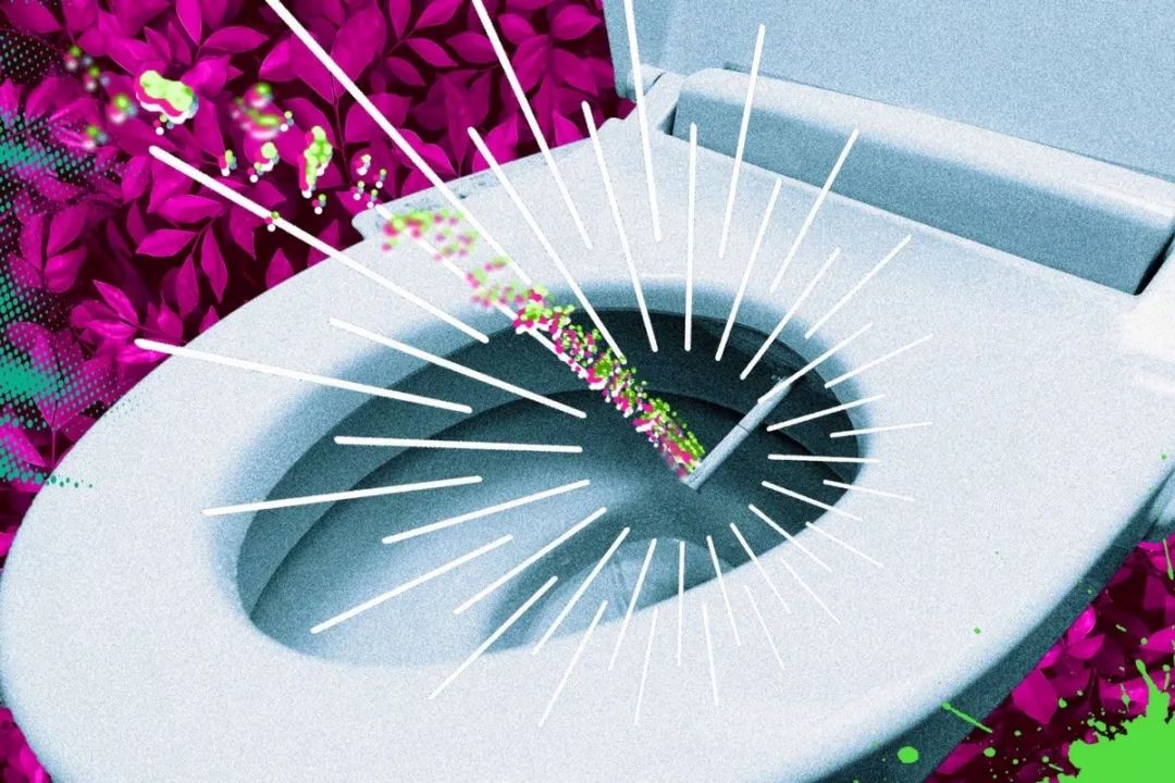 日本厕所文化形成原因,日本厕所奇葩马桶