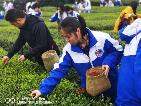 成都小学研学实践教育基地,中小学生开展研学活动是什么