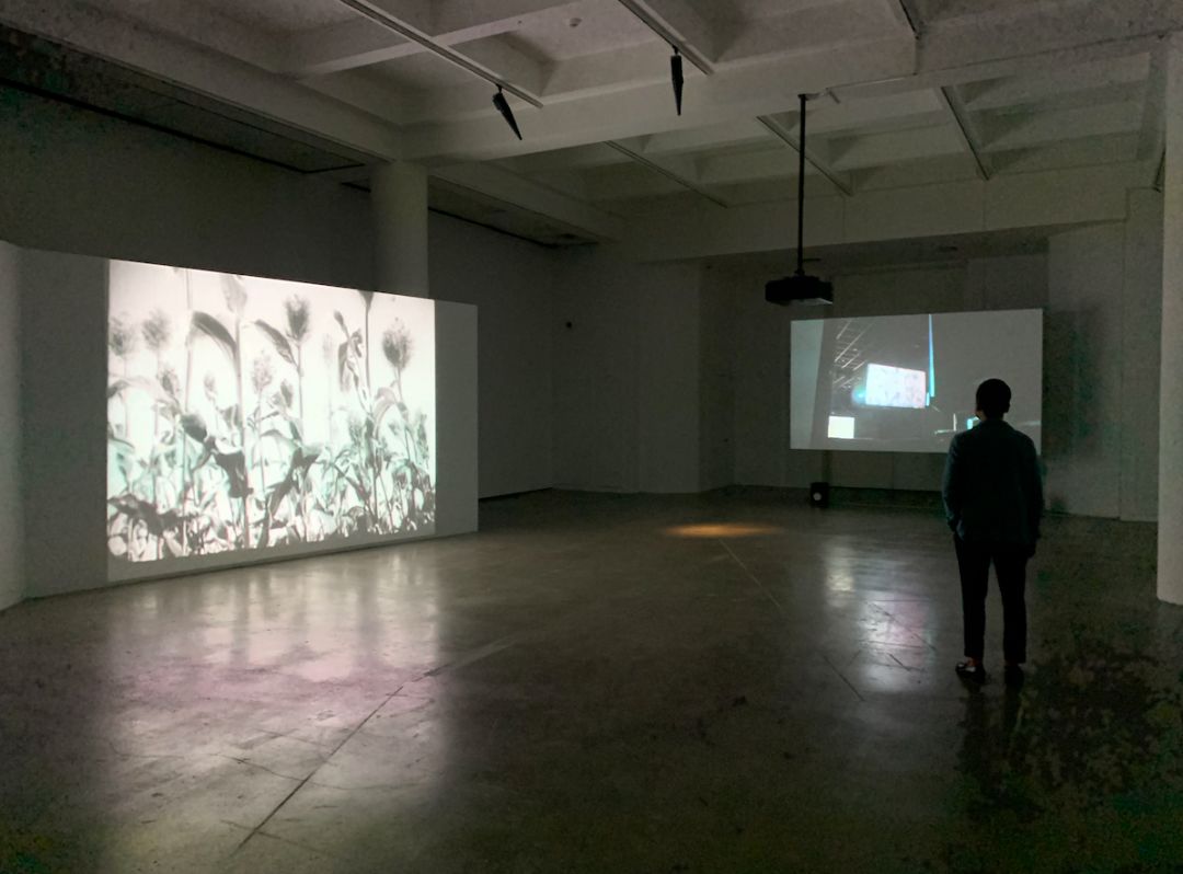 澶栨哗缇庢湳棣嗚壓鏈,澶栨哗缇庢湳棣嗕簹娲叉柊閿愯壓鏈