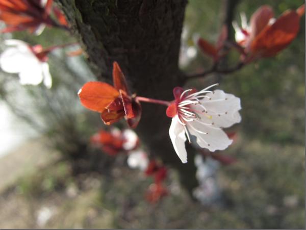 在宁波生活是怎样的体验,在宁波读书的真实感受