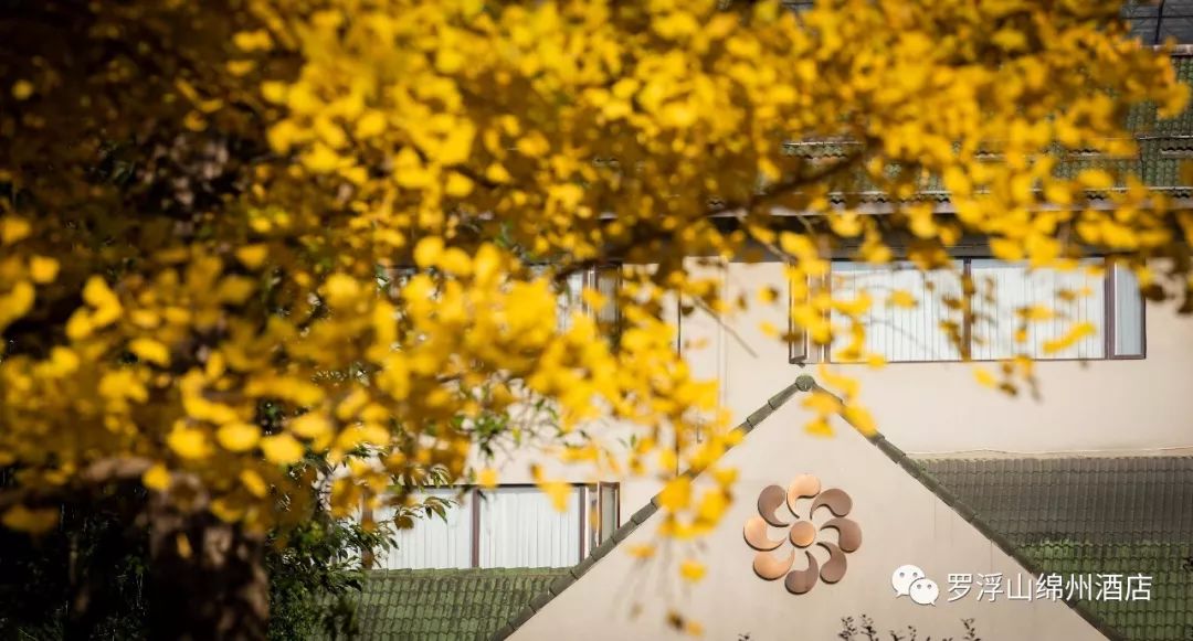 罗浮山浮生御温泉酒店泡温泉,健康生活舒适体验