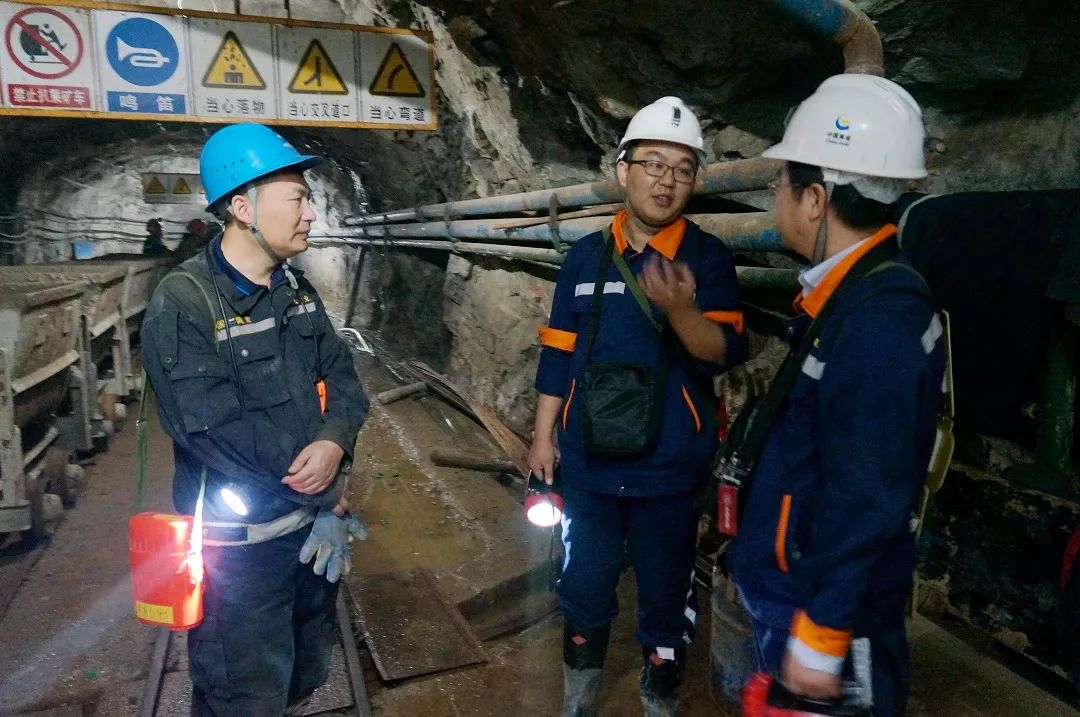 中国工程院院士海阳,海阳出了几位院士