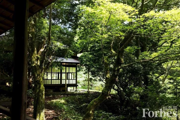 福布斯2023最佳旅行地,福布斯五星水疗