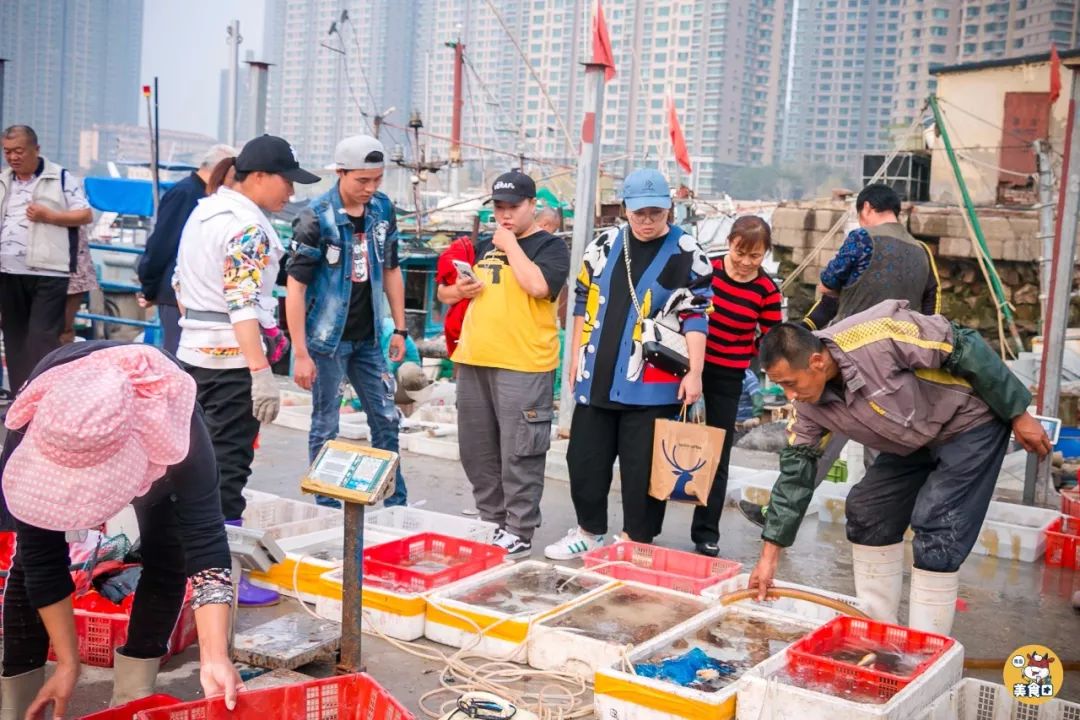 小港码头有蛏子吗,小港码头吃海鲜俱乐部电话