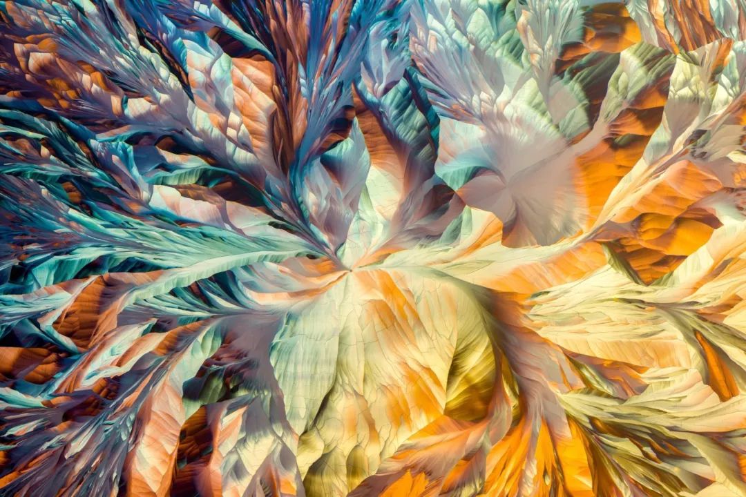 小小世界冠军,小小世界摄影奖